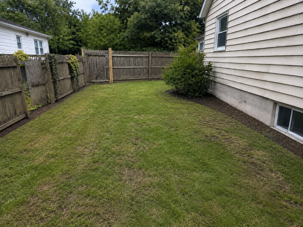 Cleaned and trimmed yard with all debris removed